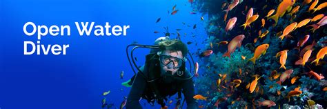 Open Water Scuba Diving Certification Classes Get Your Certification