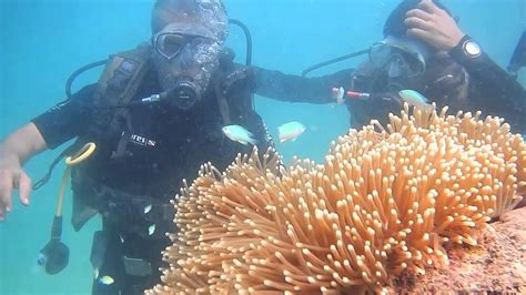 Andaman Scuba Diving Certification Memugaa