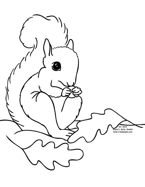 Black and white dogs are pretty popular. Squirrel coloring pages to download and print for free