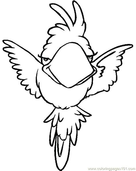 Tropical Rainforest Bird Coloring Pages