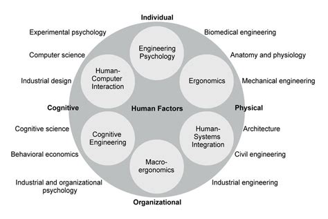 5 The Domains Of Human Factors Download Scientific Diagram