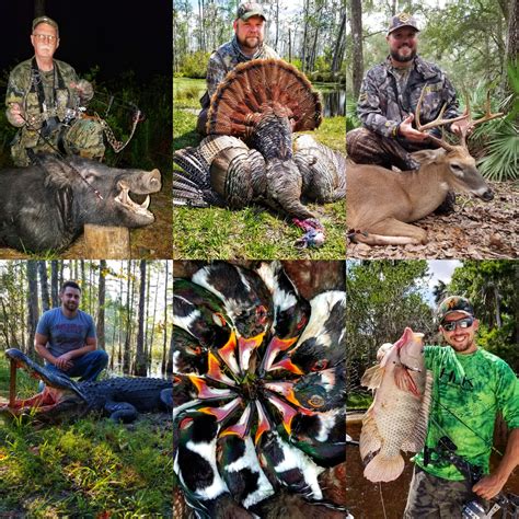 Florida Wild Hog Hunts Black Tine Outfitters Llc