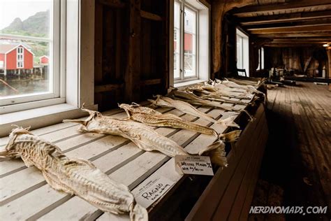 Travel Guide To Å Lofotens Best Preserved Fishing Village Folk