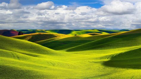 Sunlight Trees Landscape Colorful Hill Nature Grass Sky Field