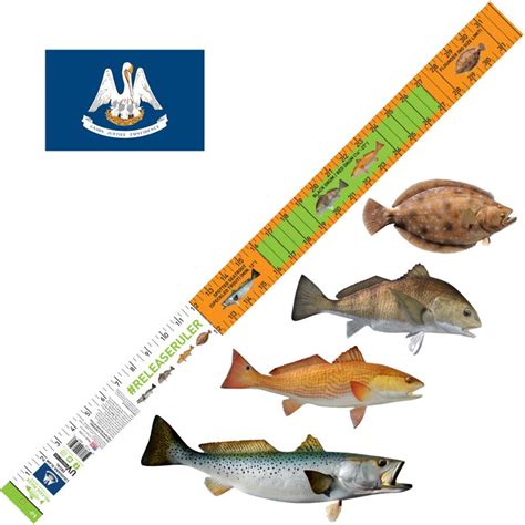 High Quality Fish Ruler Solutions