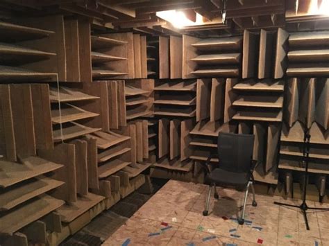 10 Minutes Inside The Quietest Room On Earth Will Make You Trip Out