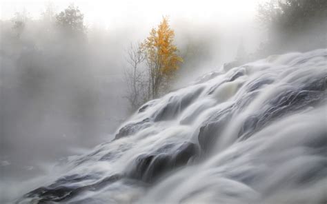 Wallpaper Id 127307 Nature Landscape Mist Trees Moss River