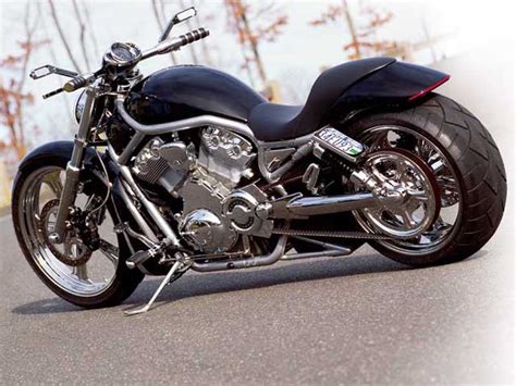Find the perfect harley davidson v rod stock photo. Online Wallpapers Shop: Harley Davidson v rod Pictures ...