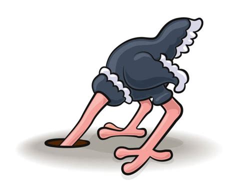 Drawing Of A Ostrich With Head In Sand Illustrations Royalty Free