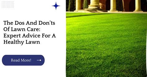 The Dos And Donts Of Lawn Care Expert Advice For A Healthy Lawn