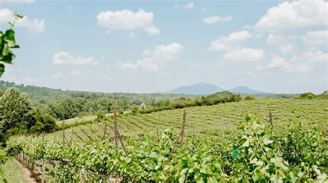Contact Us To Book Your Tour North Georgia Wine Tours Private North