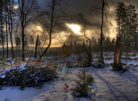 Picture Hdri Winter Nature Sky Snow Trees Seasons