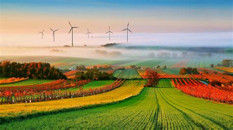 Agriculture Fog Earth Nature Field Landscape Windmill Wallpaper