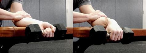 Hand Grip Workout Plan Pressing Grip Grip Strength Exercises Basic Gym Workout Track