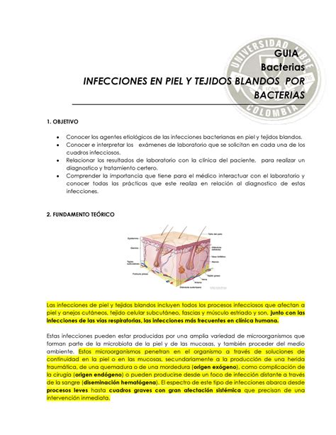 Guia Infecciones Bacterianas En Piel 2 1 Convertido Guia Bacterias