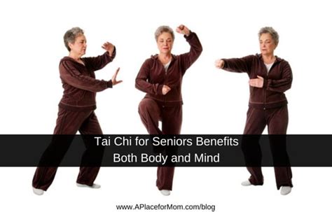 Exercises For Seniors Tai Chi Chair Exercises For Seniors