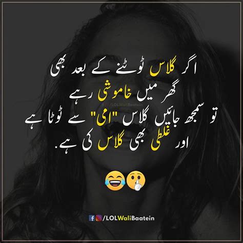 Funny Quotes For Instagram In Urdu Shortquotescc