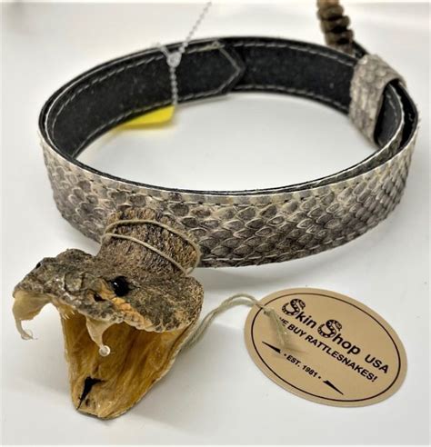 Genuine Rattlesnake Head And Rattle Hatband Spencers Western World