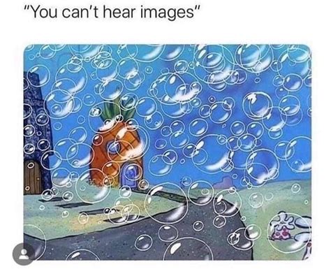 i can hear the bubbles in 2020 silly memes memes funny memes