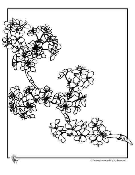 Cherry blossom coloring pages are a fun way for kids of all ages to develop creativity focus motor skills and color recognition. Cherry Blossom Coloring Page - Coloring Home