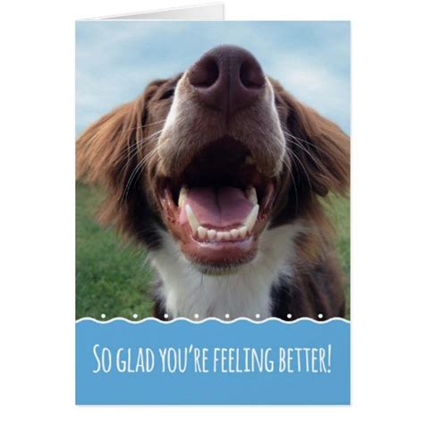 Glad Youre Feeling Better Smiling Dog Card Zazzle