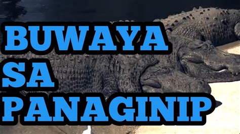 Buwaya Sa Inyon Panaginip At Kahulugan Nito Youtube