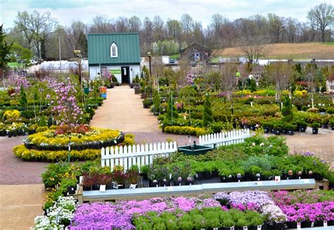 Homestead Gardens - 36 Photos & 30 Reviews - Nurseries & Gardening