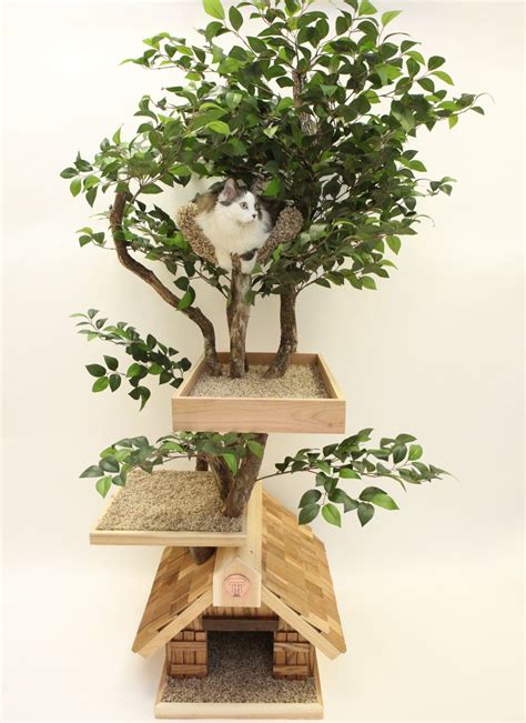 Make your cat part of your home with these brilliant design ideas. Indoor Tree Plant Cat House Furniture Decoration Indoor ...