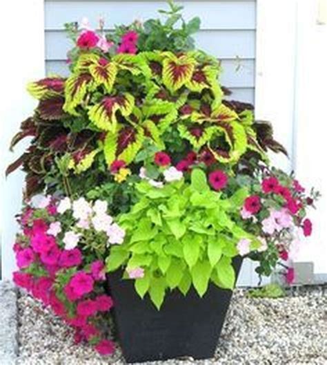 30 Beautiful Container Garden Flower Ideas Trenduhome Container