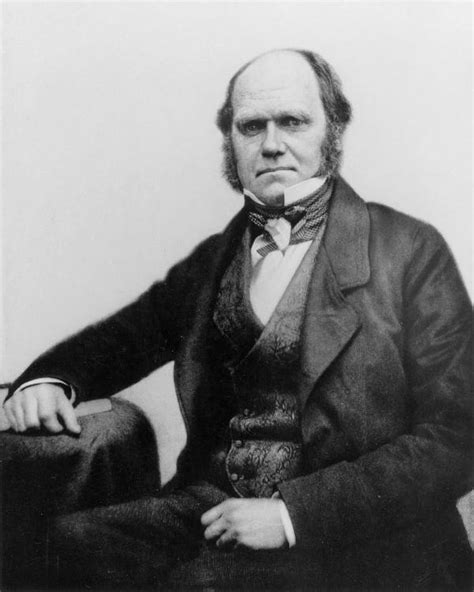 Reading Charles Darwin Utterly Changed How Charles Loring Brace Thought