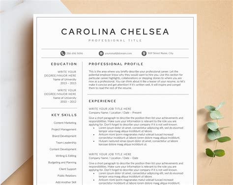 Resume Template Price And Now Only Enjoy Off Our Best