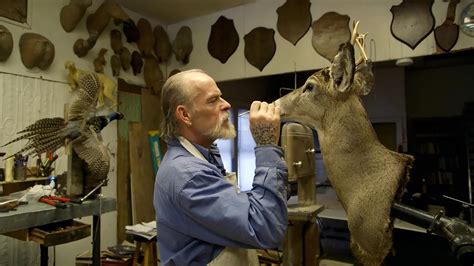 A Taxidermist Is A Keeper Of A Quiet Zoo The New York Times