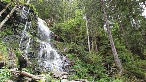 Top Trails Black Forest Tours