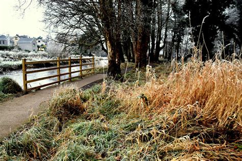 Frosty Grasses Cranny © Kenneth Allen Geograph Britain And Ireland