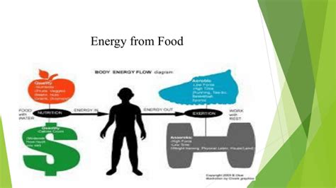 Energy From Food