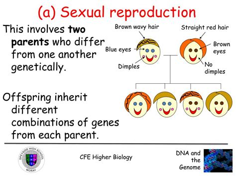 Ppt Key Area 7 Evolution Powerpoint Presentation Free Download Id5741346