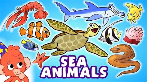 Learn Sea Animals For Kids Ocean Animals Names Cartoon
