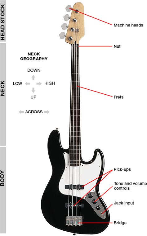 Essential Bass Skills Introduction To The Bass Guitar
