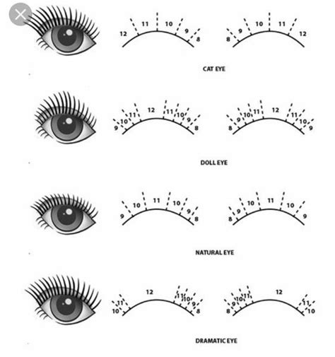 eyelash extension styles chart