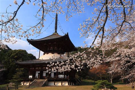 14 Unique Traditional Architectures You Can Only See In Japan Tsunagu