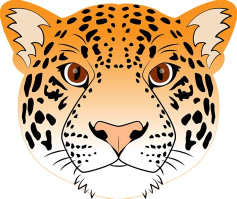 Jaguar Face Clipart Free Download Transparent Png Creazilla
