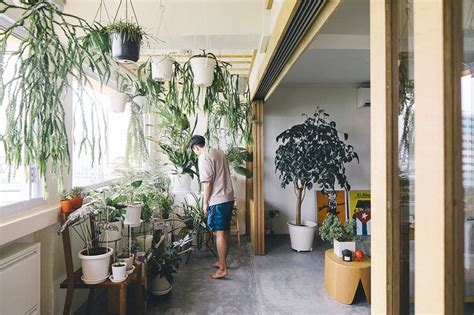 5 Interior Design Trends That Are Shaping Homes In Singapore Lookbox