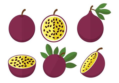 Clipart Passion Fruit 10 Free Cliparts Download Images On Clipground 2023