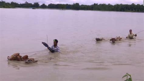 5 Things Almost 500000 People Are Affected By The Floods In India