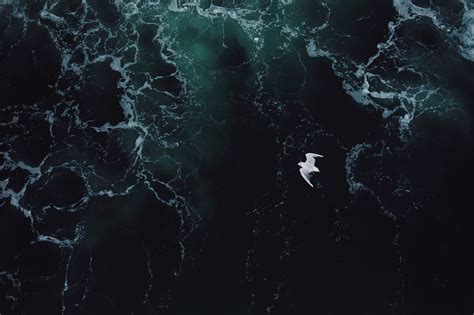500 Dark Sea Pictures Hq Download Free Images Stock Photos On Unsplash