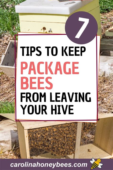 Easy Tips To Help Beekeepers Prevent Package Bees From Leaving Their
