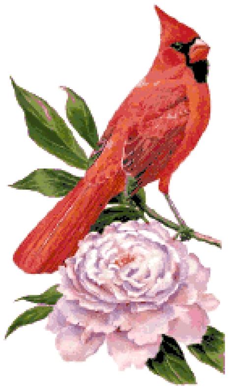 Indiana State Bird And Flower Counted Cross Stitch Pattern Etsy