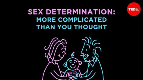 Sex Determination More Complicated Than You Thought Aaron Reedy Youtube