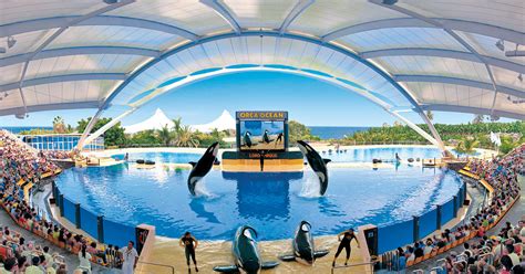 La única dirección válida completamente es la que aparecerá en las entradas. Loro Parque & Siam Park combitickets