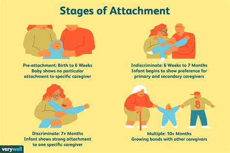 Good Infographic For Understanding Attachment Theory Attachment Hot